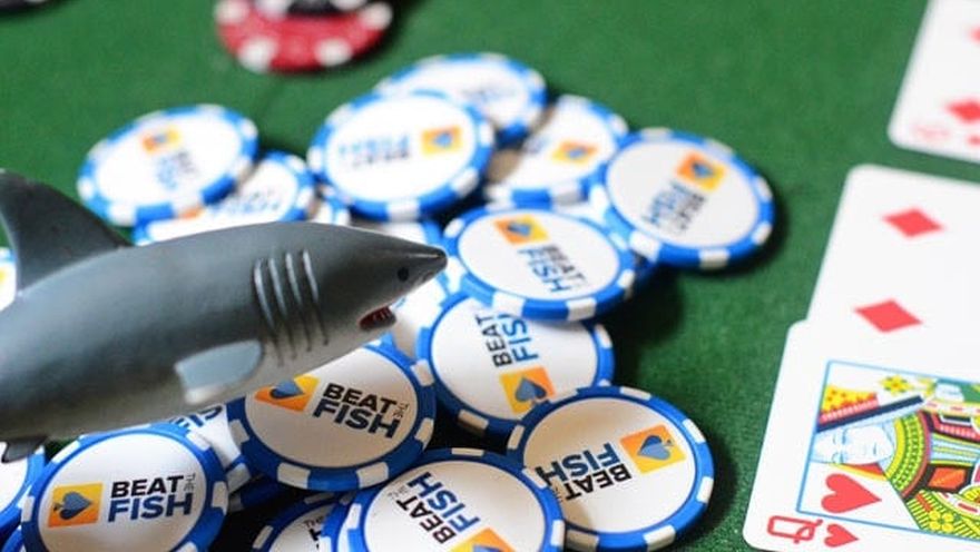 Beat The Fish: Dapatkan Ulasan Kamar Poker Online yang Tak Tertandingi